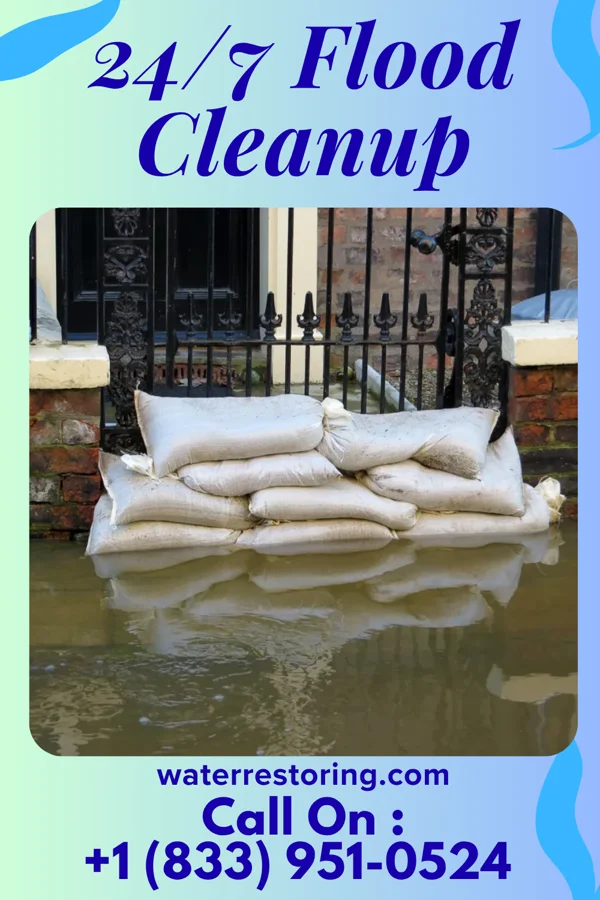 24/7 Flood Cleanup in Beatrice, AL