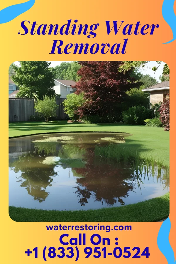 Standing Water Removal in Beatrice, AL